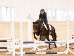 IMG_2264web